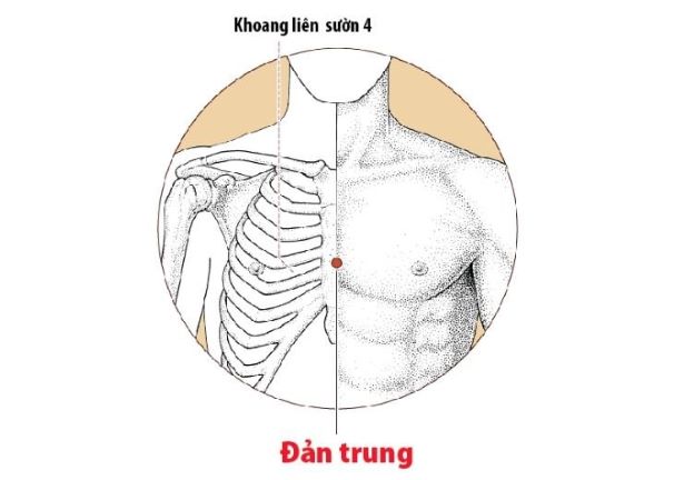 Khi nào áp dụng Đông y điều trị và dự phòng hen phế quản? - Ảnh 5. Khi nào áp dụng Đông y điều trị và dự phòng hen phế quản? - Ảnh 5.