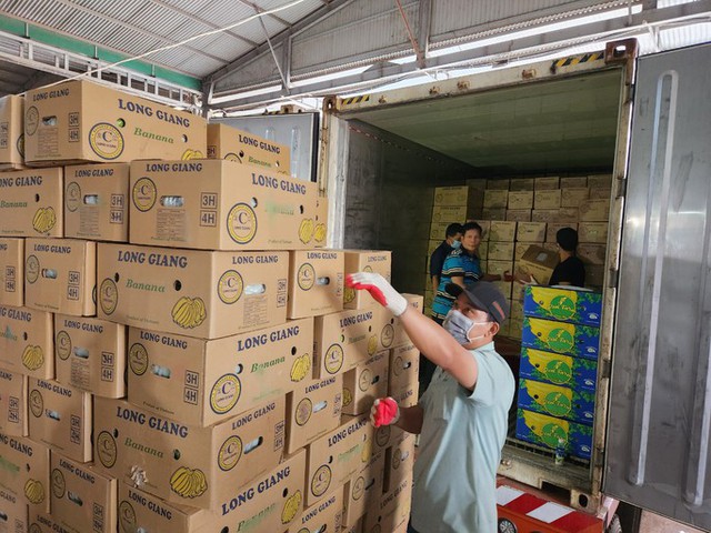 Nông dân trồng chuối thoát cảnh được mùa mất giá - Ảnh 3. Nông dân trồng chuối thoát cảnh được mùa mất giá - Ảnh 3.