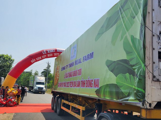 Nông dân trồng chuối thoát cảnh được mùa mất giá - Ảnh 1. Nông dân trồng chuối thoát cảnh được mùa mất giá - Ảnh 1.