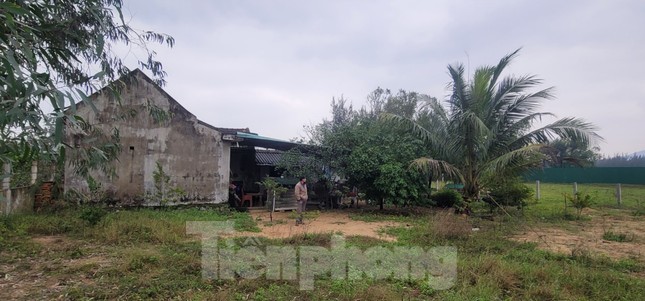 Sau 5 năm, dự &aacute;n kh&aacute;ch sạn, biệt thự hơn 240 tỷ đồng ở H&agrave; Tĩnh vẫn l&agrave; b&atilde;i đất trống ảnh 5