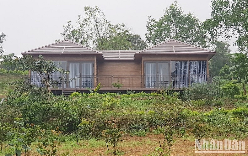 Chấn chỉnh sai phạm của Công ty TNHH giáo dục trải nghiệm Trưng Vương Garden Chấn chỉnh sai phạm của Công ty TNHH giáo dục trải nghiệm Trưng Vương Garden