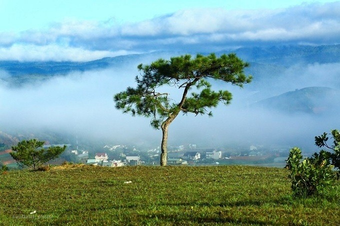 'Bỏ túi' 7 điểm check-in đẹp hút hồn ở Đà Lạt - 3