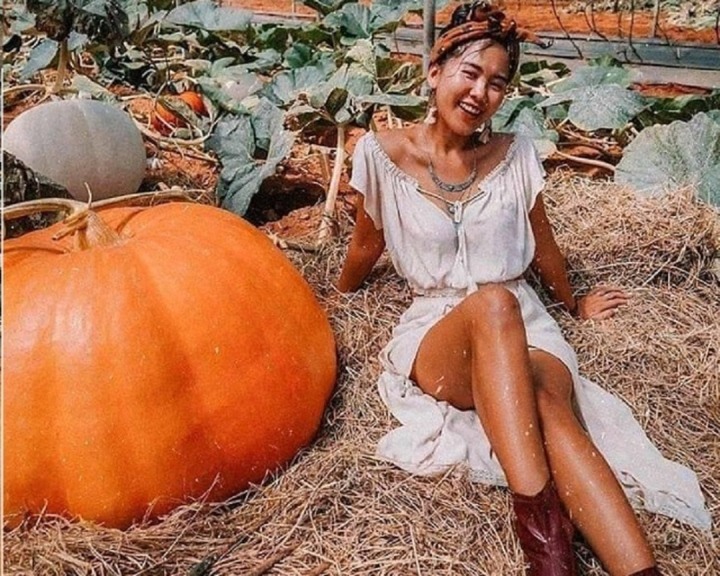 'Bỏ túi' 7 điểm check-in đẹp hút hồn ở Đà Lạt - 7