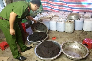 Nguy cơ ngộ độc từ thuốc Đông y không rõ nguồn gốc