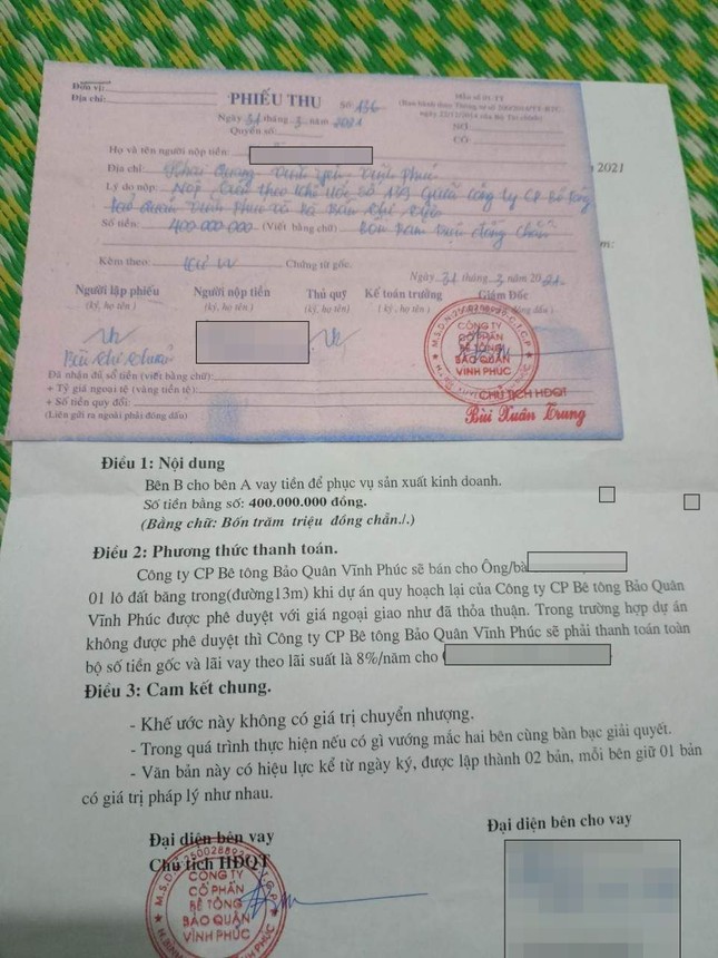 C&ocirc;ng ty b&ecirc; t&ocirc;ng bị tố d&ugrave;ng b&atilde;i đất trống huy động tiền của nh&agrave; đầu tư ảnh 2