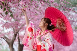 Lượng khách đi Nhật ngắm hoa anh đào tăng đột biến