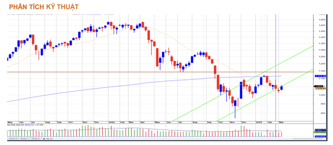 6.000 tỷ đồng của cá mập có giúp chứng khoán Việt tránh bão? - 1 6.000 tỷ đồng của cá mập có giúp chứng khoán Việt tránh bão? - 1