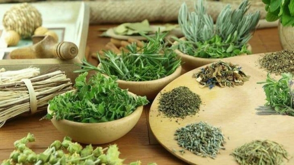 Cảnh báo thuốc nam gia truyền giả mạo giấy xác nhận của Bộ Y tế