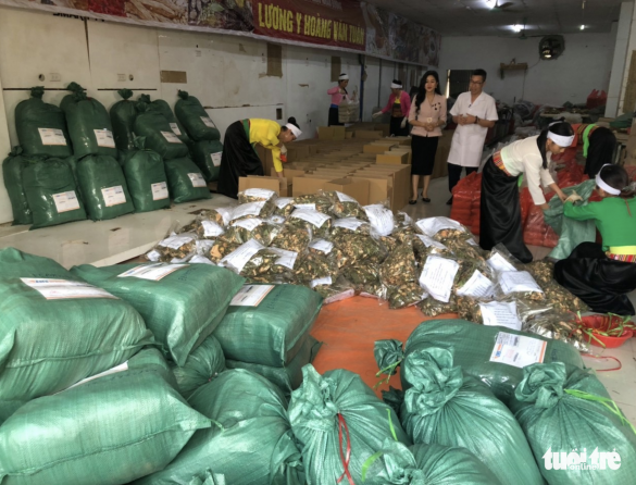 Tự xưng "lương y", "thần y" trục lợi trên nỗi đau người bệnh