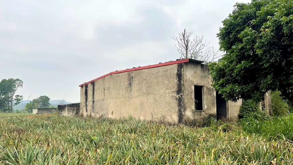 Ninh Bình: “Mòn mỏi” bên dự án “treo” Ninh Bình: “Mòn mỏi” bên dự án “treo”