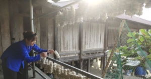 Pác Nặm tập trung phát triển các sản phẩm OCOP