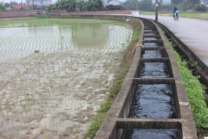 Bất cập trong quản lý, khai thác công trình thủy lợi