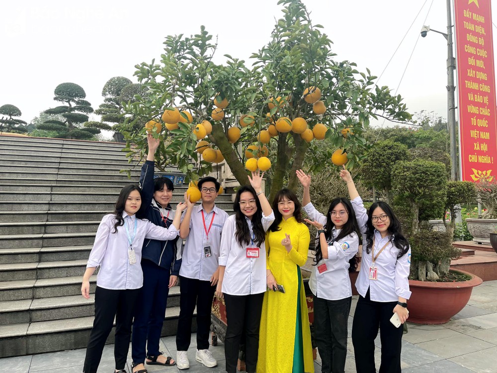 Bí quyết chinh phục giải Nhất Tiếng Anh quốc gia của 2 học sinh xứ Nghệ Bí quyết chinh phục giải Nhất Tiếng Anh quốc gia của 2 học sinh xứ Nghệ ảnh 4