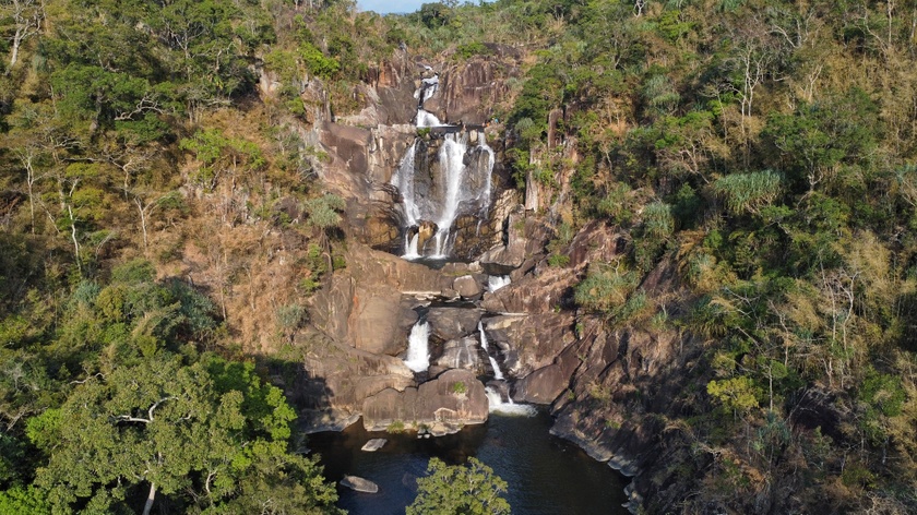 Eatul: Trái tim rừng già ảnh 2