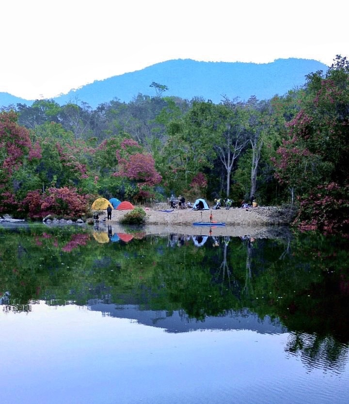 Eatul: Trái tim rừng già ảnh 1