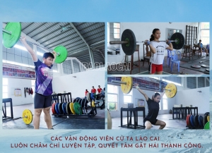 Cử tạ - “mỏ vàng” của thể thao thành tích cao Lào Cai