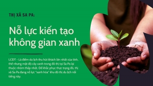 Nỗ lực kiến tạo không gian xanh
