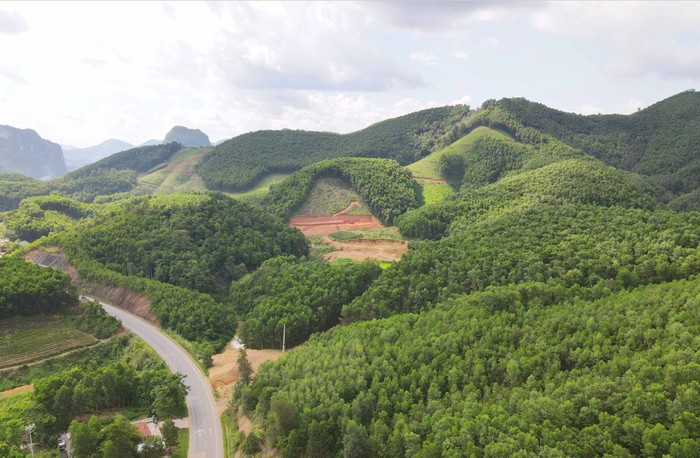 Bắc Kạn: Giữ rừng gắn với phát triển kinh tế, nâng cao đời sống người dân  ảnh 1