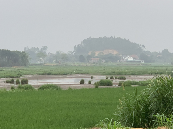 Khao khát bức tranh du lịch sinh thái bên cánh đồng Dừa Hải Lựu