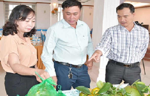 Kinh tế tập thể: Góp phần thực hiện hiệu quả đề án tái cơ cấu nông nghiệp