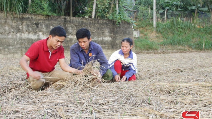 “Cầu nối” khoa học kỹ thuật với nông dân -