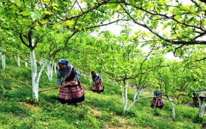 Bài 1: Hiệu quả từ chính sách thu hút người tài