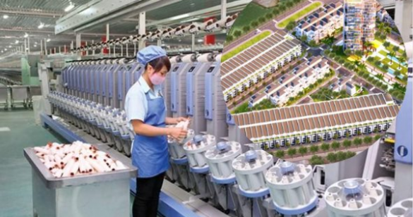 Một công ty sợi "lấn sân" làm bất động sản: Tham vọng đứng số 1 Thái Bình, nhập cuộc làm NOXH và gom 200ha đất công nghiệp