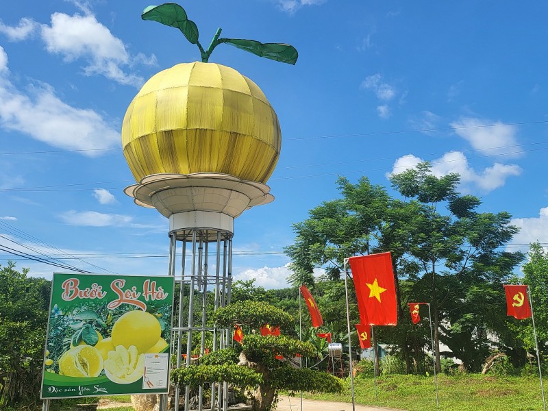 undefined Bưởi Soi Hà - Quả ngọt từ lòng đất, khát vọng từ lòng người