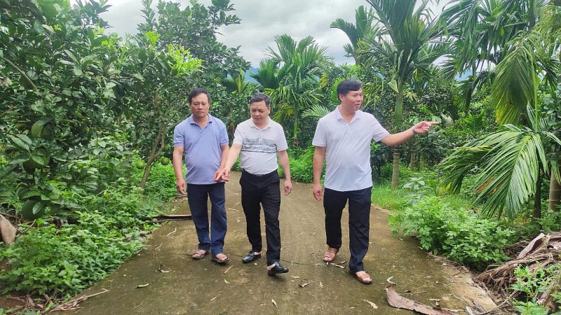 undefined Bưởi Soi Hà - Quả ngọt từ lòng đất, khát vọng từ lòng người