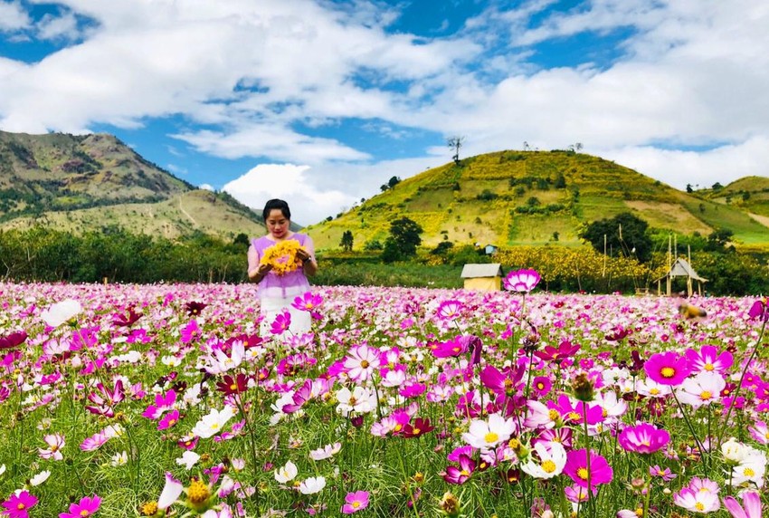Ngắm hoa dã quỳ và bay dù lượn trên một trong 10 miệng núi lửa đẹp nhất thế giới ảnh 13