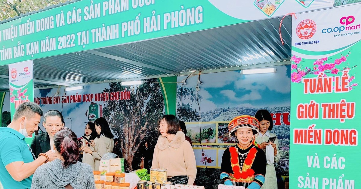 Khai mạc Tuần lễ giới thiệu miến dong và các sản phẩm OCOP tỉnh Bắc Kạn tại Hải Phòng