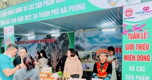Khai mạc Tuần lễ giới thiệu miến dong và các sản phẩm OCOP tỉnh Bắc Kạn tại Hải Phòng