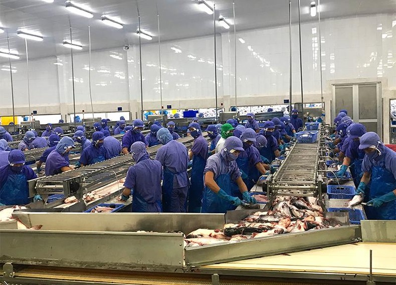 Lần đầu tiên Đồng Tháp tổ chức lễ hội cá tra ảnh 1