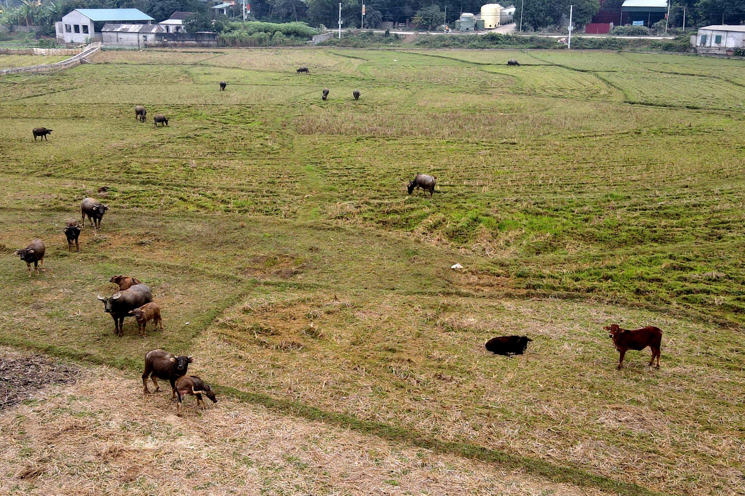 Chống lãng phí đất đai hiệu quả: Cần bắt đầu từ việc "phòng" lãng phí Chống lãng phí đất đai hiệu quả: Cần bắt đầu từ việc "phòng" lãng phí