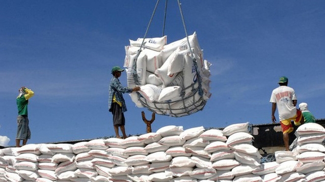 Giá gạo giảm sâu, Bộ Công Thương đề xuất giải pháp gì?