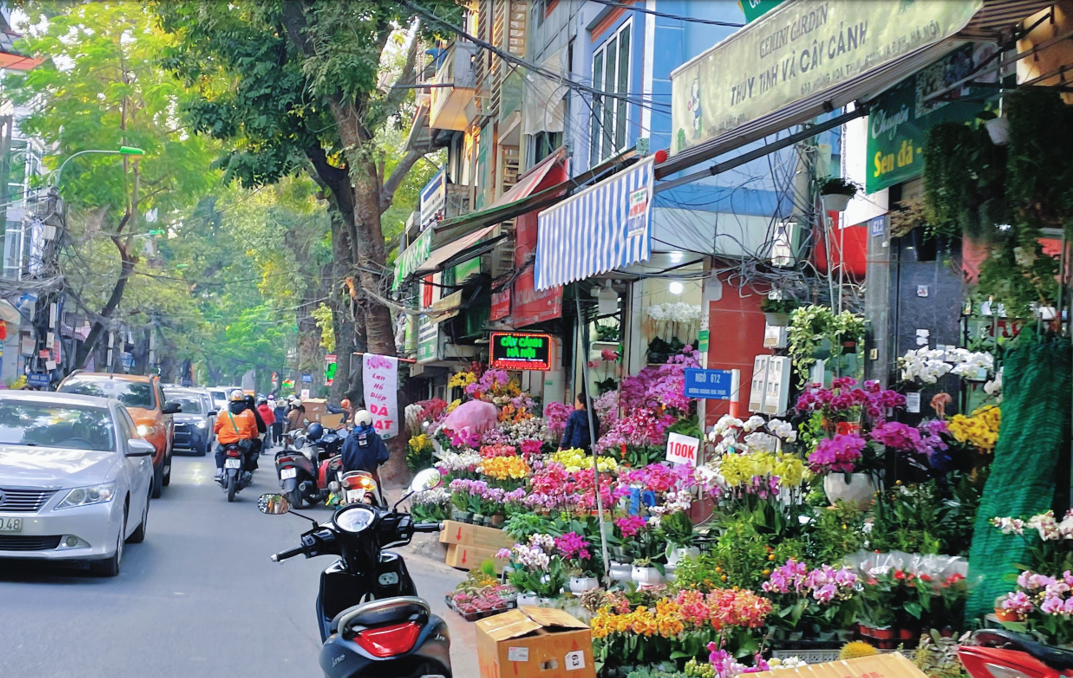 Phố cây cảnh Hoàng Hoa Thám những ngày giáp Tết Phố cây cảnh Hoàng Hoa Thám những ngày giáp Tết