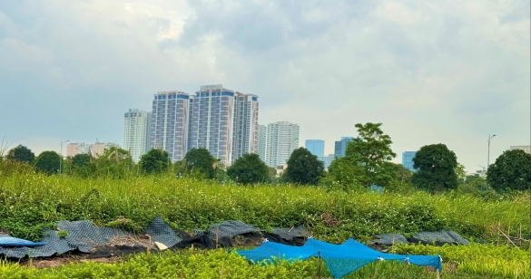 Bất động sản 2026: Loạt chính sách mới định hình chu kỳ phát triển mới