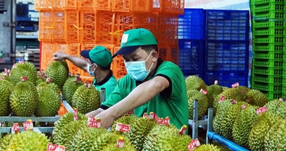 Doanh nghiệp nông sản vào “đường băng” tăng trưởng mới năm 2026