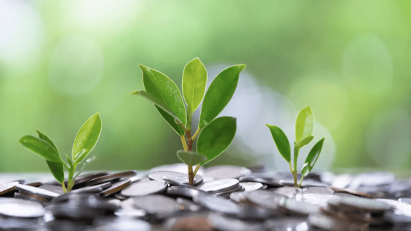 Tuần từ 26-30/1: Loạt doanh nghiệp chốt quyền, cổ tức tiền mặt cao nhất 20%