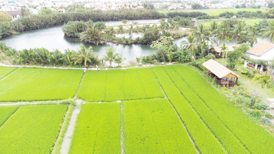 Bộ Tài chính đề xuất thêm 10 trường hợp được miễn, giảm tiền sử dụng đất, tiền thuê đất Bộ Tài chính đề xuất thêm 10 trường hợp được miễn, giảm tiền sử dụng đất, tiền thuê đất