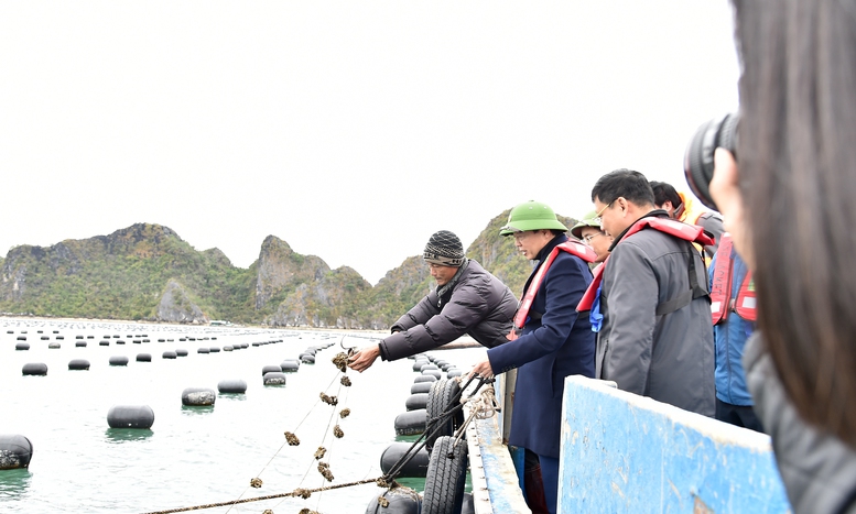 Nuôi trồng thuỷ sản phải chuyển nhanh sang công nghệ cao, bền vững Nuôi trồng thuỷ sản phải chuyển nhanh sang công nghệ cao, bền vững