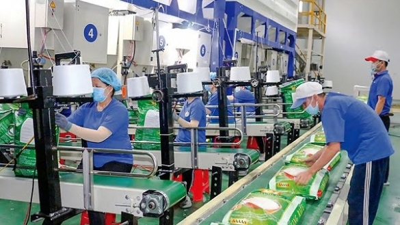 Giữ vững thị trường xuất khẩu gạo trong năm 2025