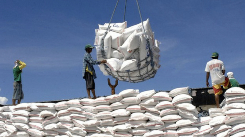 Xuất khẩu nhiều lãi chẳng bao nhiêu, DN gạo suy giảm và thua lỗ Xuất khẩu nhiều lãi chẳng bao nhiêu, DN gạo suy giảm và thua lỗ