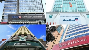 Ngân hàng sôi động chuyển nhượng vốn, tăng vốn