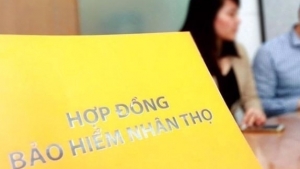 Bảo hiểm nhân thọ lợi nhuận âm: Chuyển giá hay chịu lỗ chờ thời?