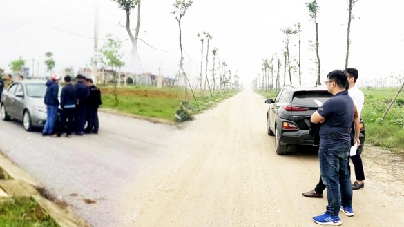 VARS: Nhà đầu tư cần thận trọng trước các cơn sốt đất ảo