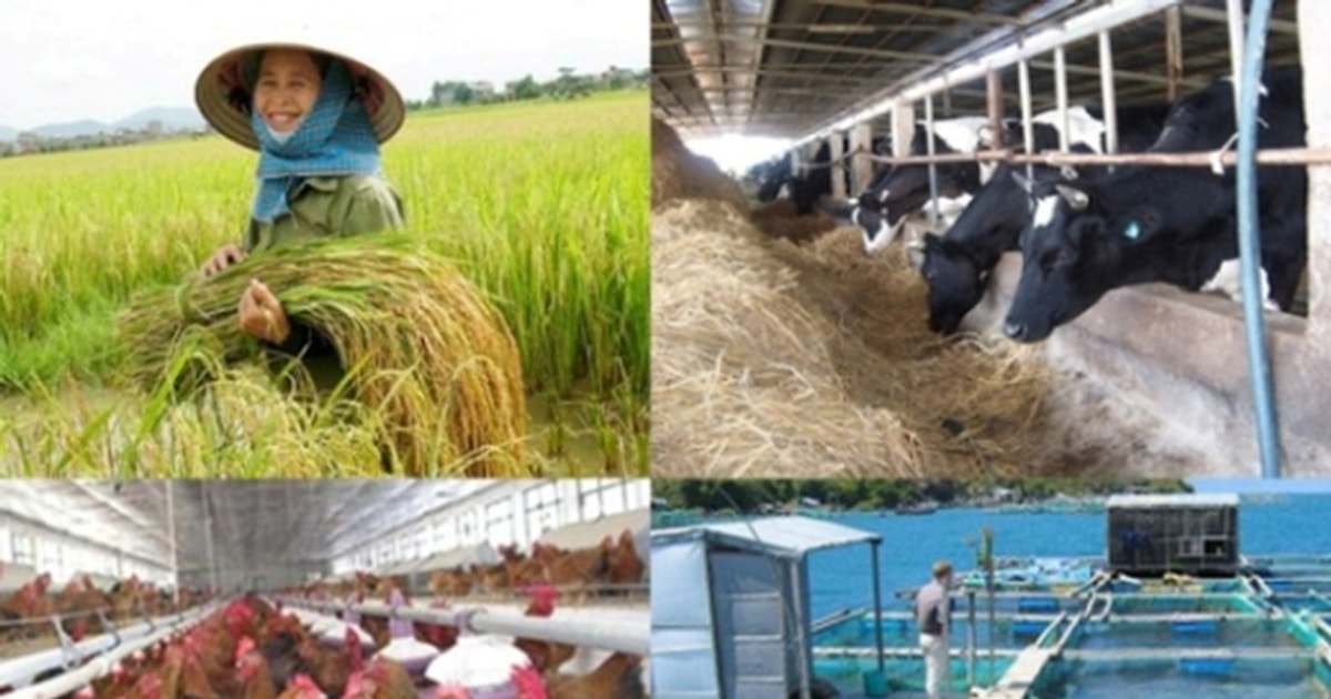 Đổi mới chính sách bảo hiểm nông nghiệp, củng cố "lá chắn" tài chính cho nhà nông