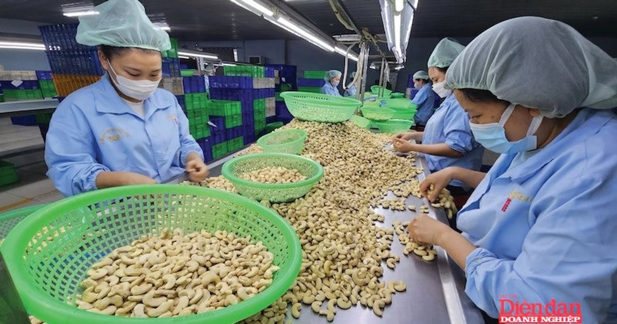 Ngành điều chủ động thích ứng trước biến động logistics do xung đột Trung Đông