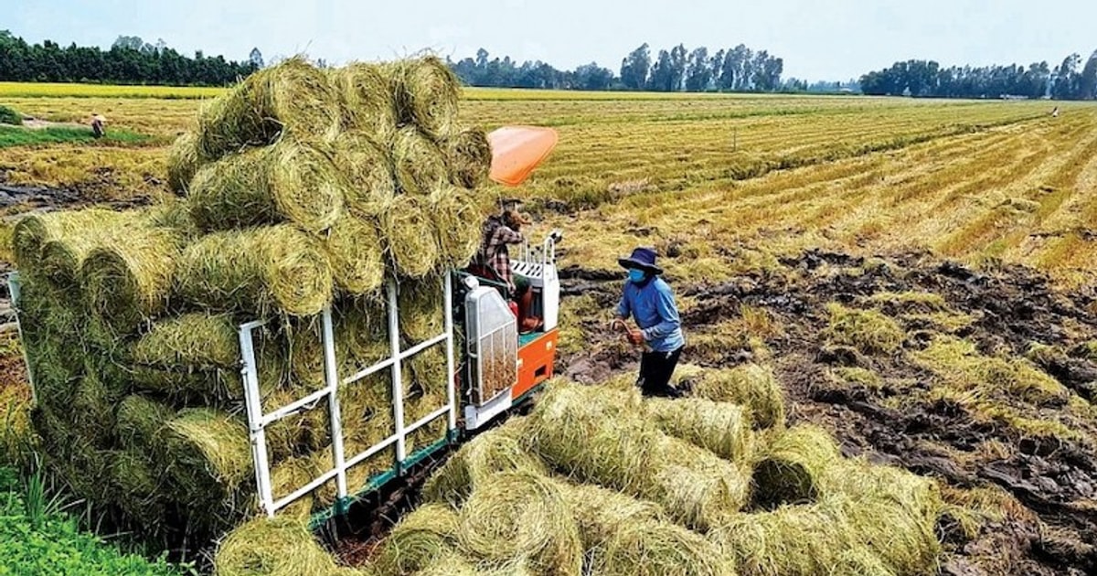 “Mỏ vàng” từ phụ phẩm nông nghiệp