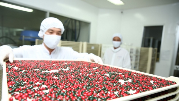 Gói thầu mua thuốc hơn 1.140 tỷ đồng tại Gia Lai: Nhiều lý do khiến nhà thầu “mắc kẹt”